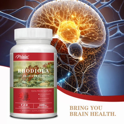 Rhodiola Capsules - Super Adaptogen Helps Relieve Stress, and Healthy Brain & Mood Regulation - 120 Capsules Amazondiabacai