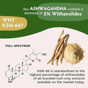 Ashwagandha 1200 mgnutriamazonianutriamazoniaNutriamazonia Ashwagandha 1200 mg with Organic KSM-66
Introduction
Nutriamazonia's Ashwagandha 1200 mg with Organic KSM-66 supports energy, focus, and natural stressAshwagandha - Stress Relief And Focus Nutriamazonia Adults