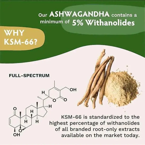 Ashwagandha 1200 mgnutriamazonianutriamazoniaNutriamazonia Ashwagandha 1200 mg with Organic KSM-66
Introduction
Nutriamazonia's Ashwagandha 1200 mg with Organic KSM-66 supports energy, focus, and natural stressAshwagandha - Stress Relief And Focus Nutriamazonia Adults