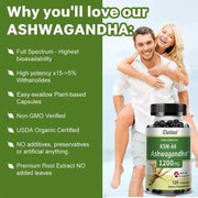 Ashwagandha 1200 mgnutriamazonianutriamazoniaNutriamazonia Ashwagandha 1200 mg with Organic KSM-66
Introduction
Nutriamazonia's Ashwagandha 1200 mg with Organic KSM-66 supports energy, focus, and natural stressAshwagandha - Stress Relief And Focus Nutriamazonia Adults