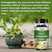 Ashwagandha 1200 mgnutriamazonianutriamazoniaNutriamazonia Ashwagandha 1200 mg with Organic KSM-66
Introduction
Nutriamazonia's Ashwagandha 1200 mg with Organic KSM-66 supports energy, focus, and natural stressAshwagandha - Stress Relief And Focus Nutriamazonia Adults